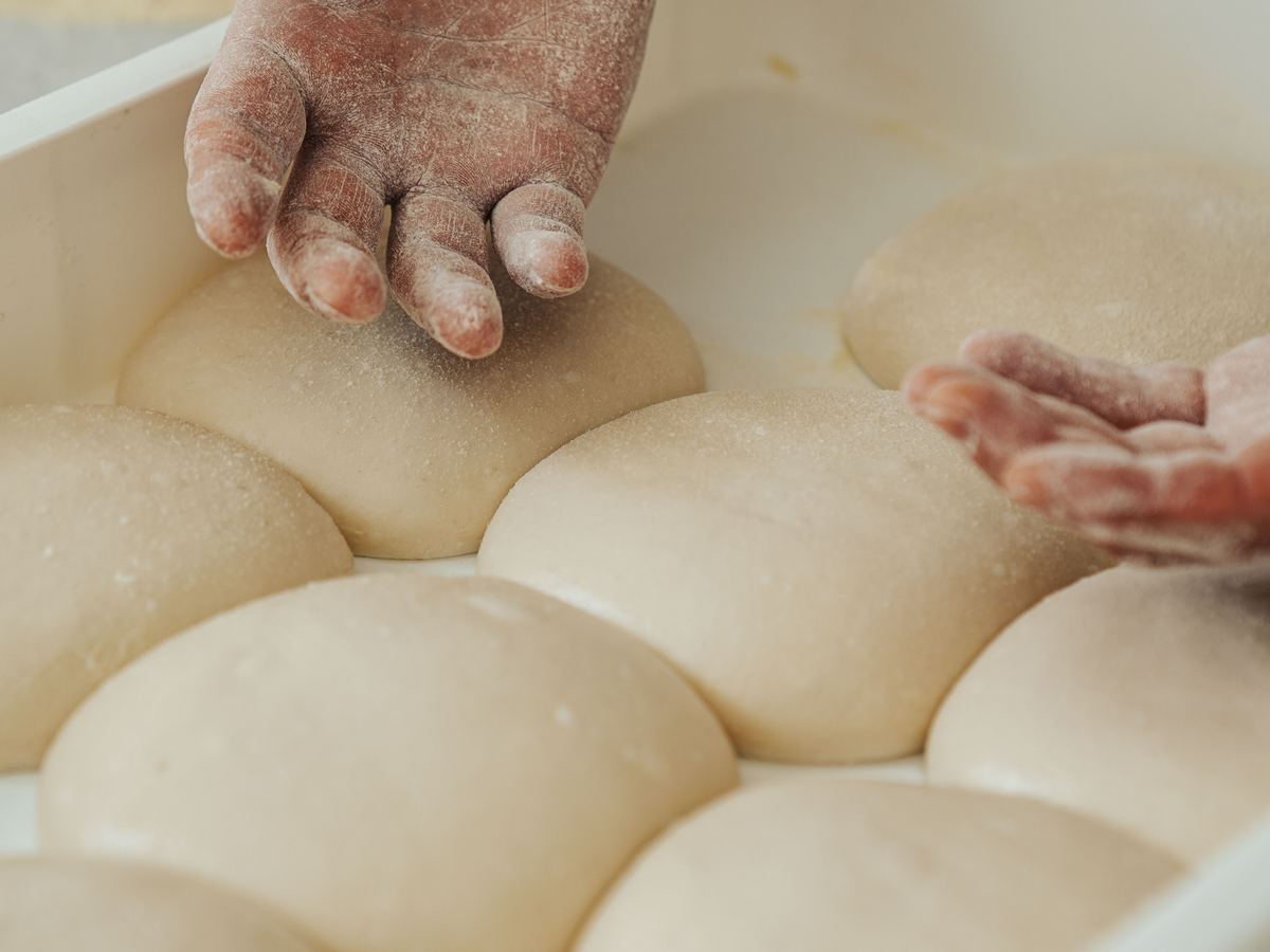 Panetti di impasto in lievitazione